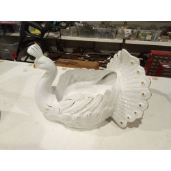PAVO MACETERO 