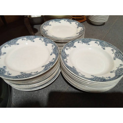 LOTE PLATOS FLORES AZ.