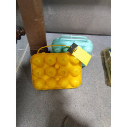 LOTE 2 HUEVERAS PLASTICO