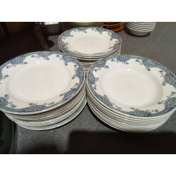 LOTE PLATOS FLORES AZ.