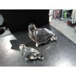 JGO PALOMAS CRISTAL LAMBERT