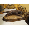 FIGURA PERRO CAPODIMONTE