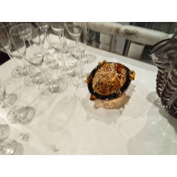 CENICERO TORTUGA MURANO