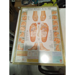 CUADRO ZONAS REFLEJAS PIES