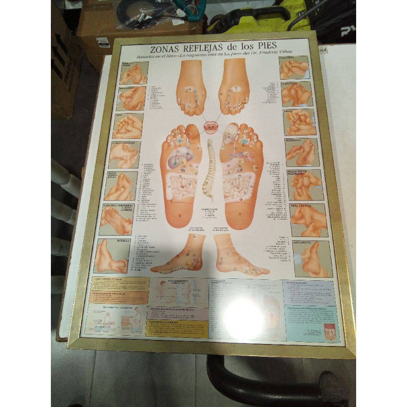 CUADRO ZONAS REFLEJAS PIES