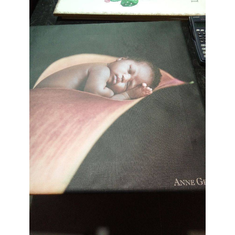 CUADRO BEBE ANNE GEDDES