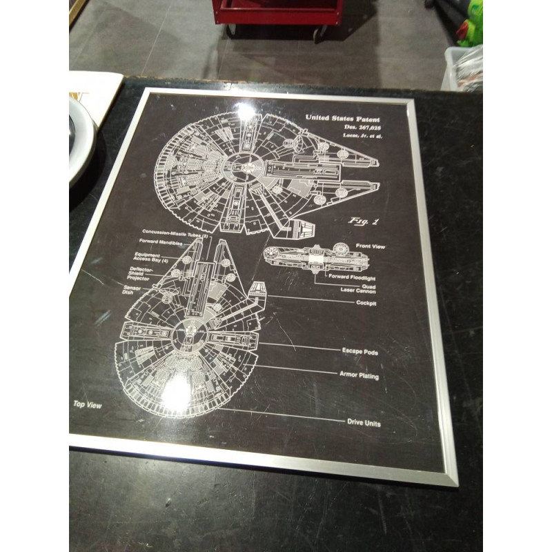 CUADRO HALCON MILENARO