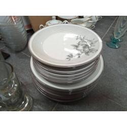 LOTE PLATOS RAYAS FLORES