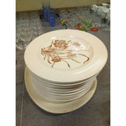 LOTE 19 PLATOS GRES +BANDEJA