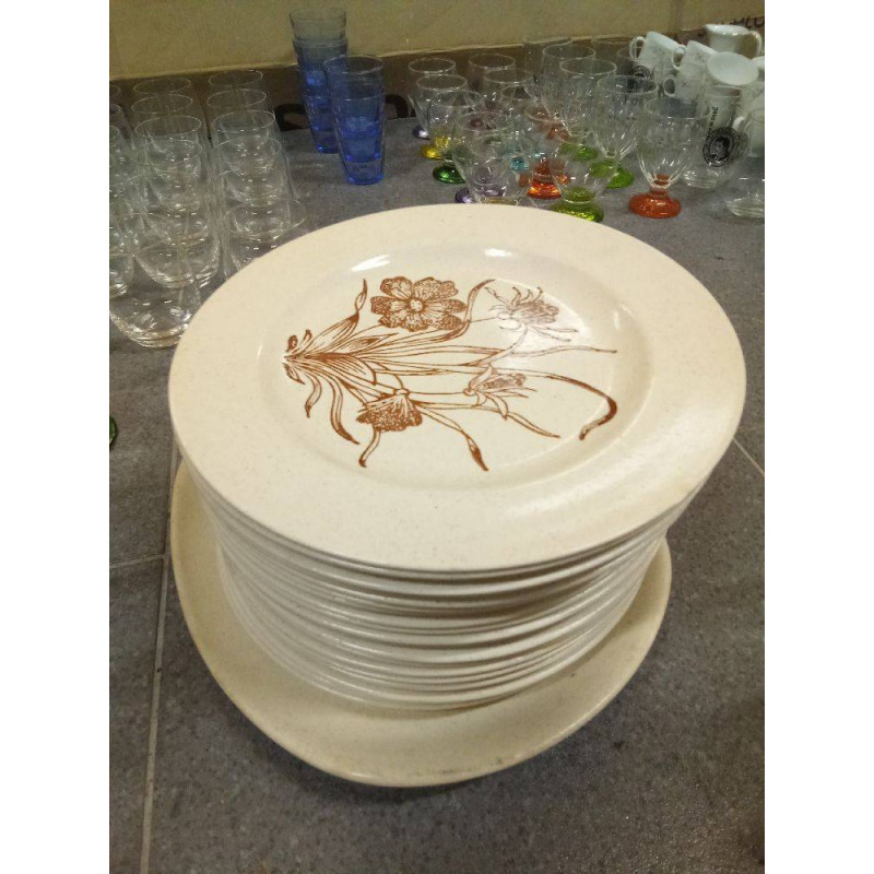 LOTE 19 PLATOS GRES +BANDEJA