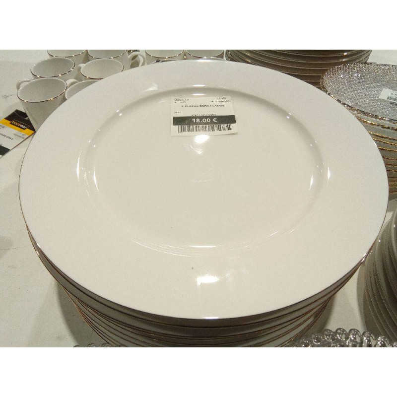 6 PLATOS ZARA LLANOS