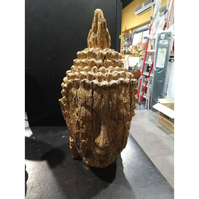 CABEZA BUDA