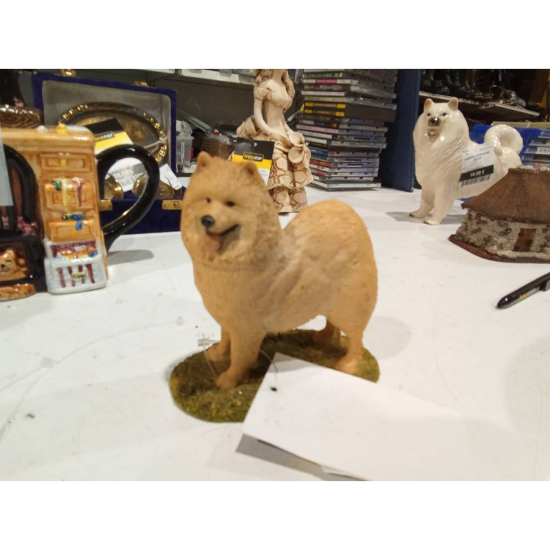 SAMOYEDO BEST F BREED ENGLAND