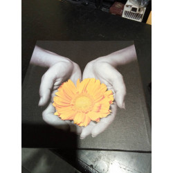 CUADRO MANOS FLOR