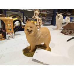 SAMOYEDO BEST F BREED ENGLAND