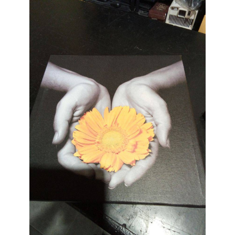CUADRO MANOS FLOR