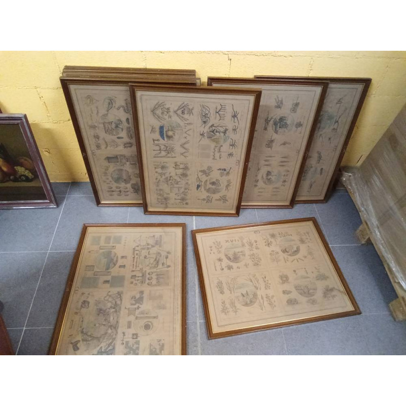 COLECCIÓN 10 COMPLETA EDUCATIVA AGRICULTURA AÑO 1888