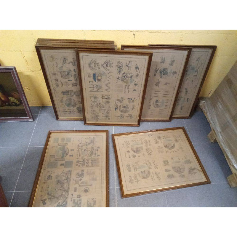 COLECCIÓN 10 COMPLETA EDUCATIVA AGRICULTURA AÑO 1888