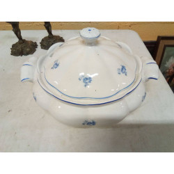 SOPERA COIMBRA FLORES