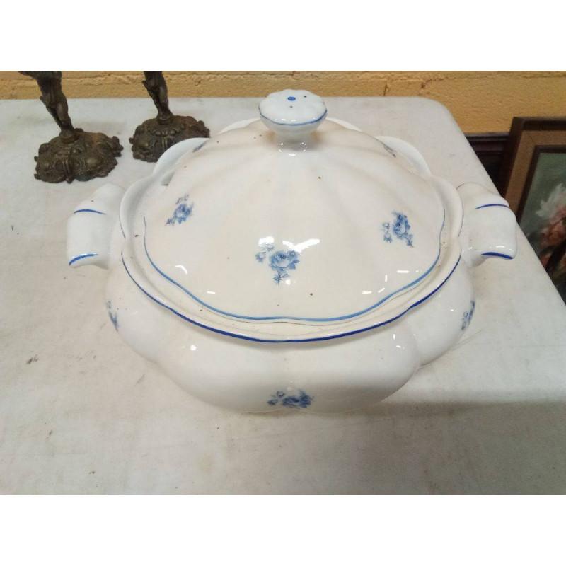 SOPERA COIMBRA FLORES