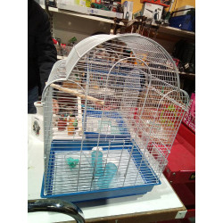 JAULA PÁJAROS 