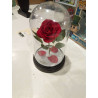 LAMPARA ROSA BELLE Y BESTIA