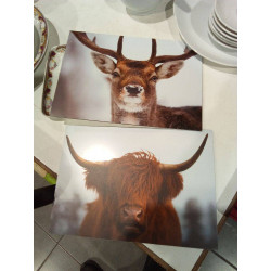 CUADRO ANIMAL