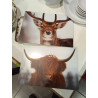 CUADRO ANIMAL