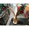 FIGURA CAPODIMONTE G. ARMANI