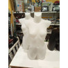 BUSTO MUJER