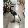 PAVO REAL METAL