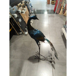 PAVO REAL METAL