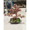 MAQUETA CEREZO EN FLOR MINIATURA 