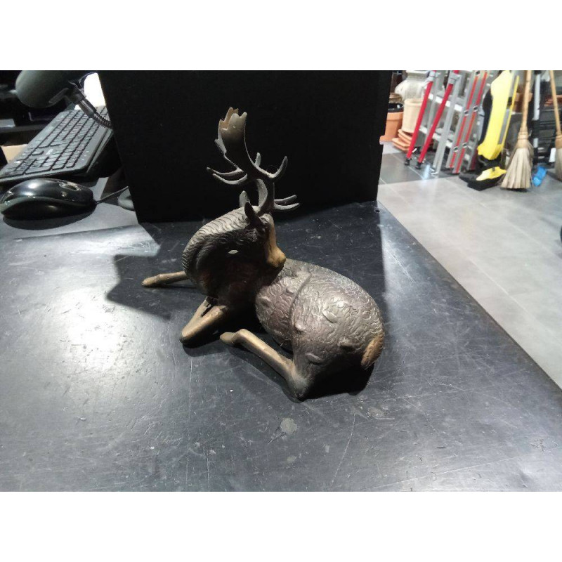 RENO BRONCE