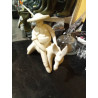 FIGURA BURRO
