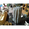 CACTUS DECO